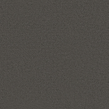 camira-synergy-lds-29.jpg